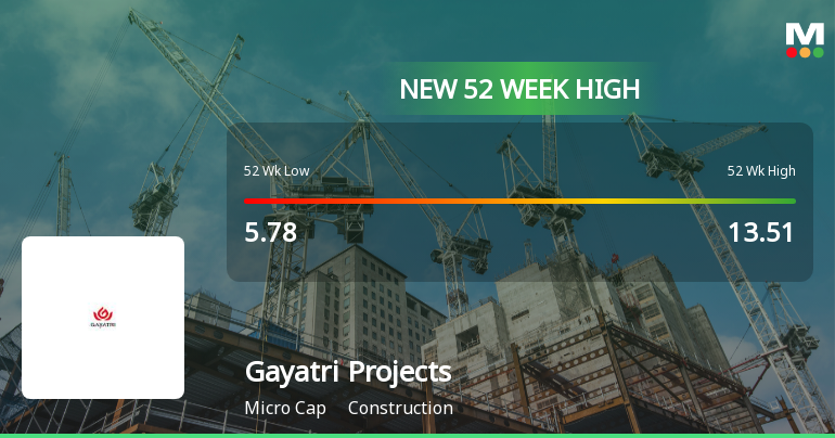 Broad-Based Technical Strength Lifts Gayatri Projects Ltd to 52-Week High of Rs 14.18