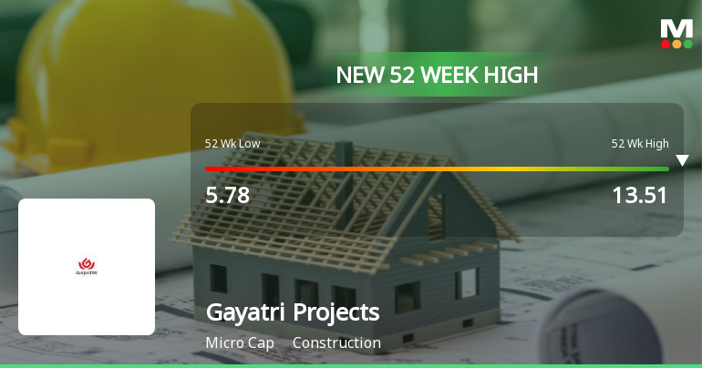 Broad-Based Technical Strength Lifts Gayatri Projects Ltd to 52-Week High of Rs 14.64