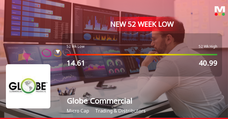 Globe Commercials Ltd Falls to 52-Week Low of Rs 12.99 as Sell-Off Deepens
