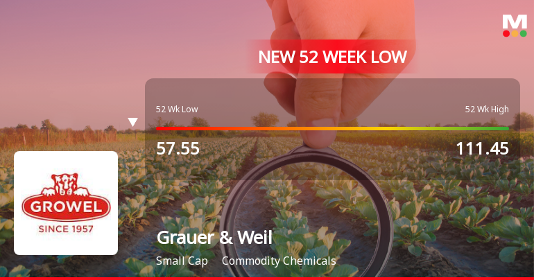 Five Consecutive Losses Push Grauer & Weil (India) Ltd to a New 52-Week Low