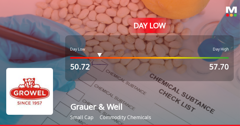 Grauer & Weil (India) Ltd Hits Intraday Low Amid Price Pressure