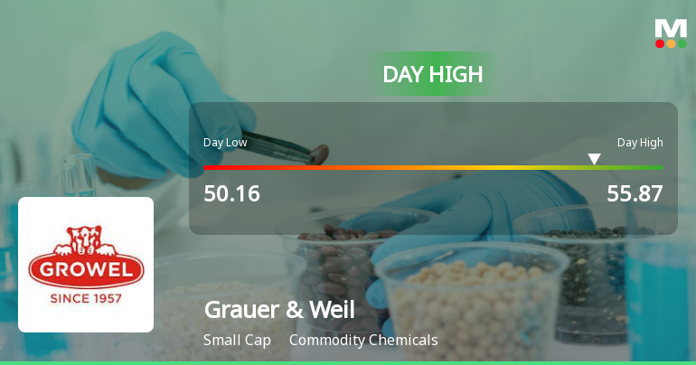 Grauer & Weil (India) Ltd Surges 7.16% to Day's High of Rs 55.55 — Outperforms Sector by 4.62 Percentage Points