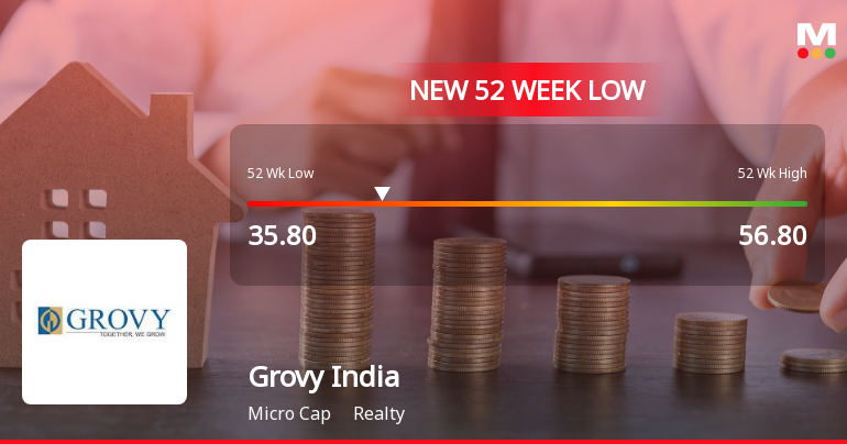 Grovy India Ltd Falls to 52-Week Low Amid Market Volatility