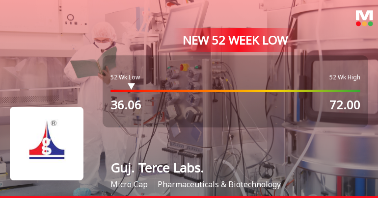 Gujarat Terce Laboratories Ltd Hits 52-Week Low Amidst Weak Financial Metrics