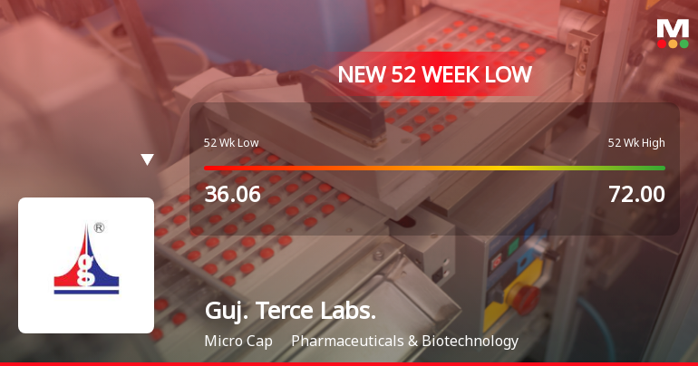 Five Consecutive Losses Push Gujarat Terce Laboratories Ltd to a New 52-Week Low