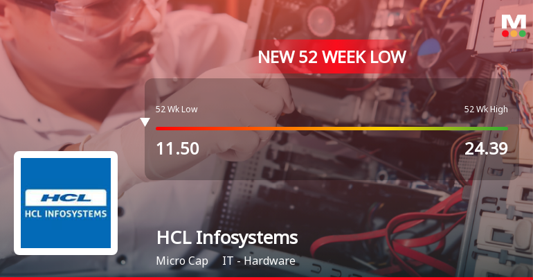 Markets Rally, But HCL Infosystems Ltd Sinks to 52-Week Low in Stock-Specific Sell-Off