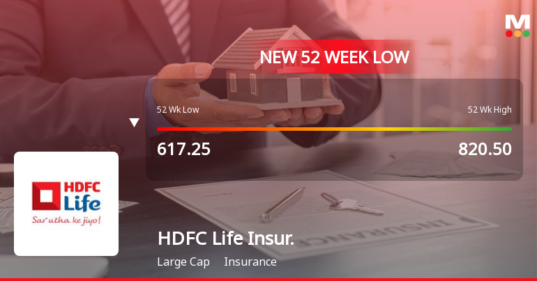 Markets Rally, But HDFC Life Insurance Company Ltd Sinks to 52-Week Low in Stock-Specific Sell-Off