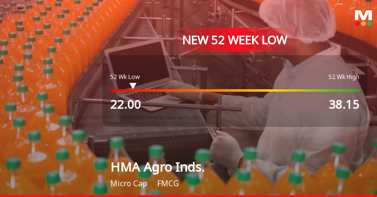 HMA Agro Industries Ltd Falls to 52-Week Low of Rs.22