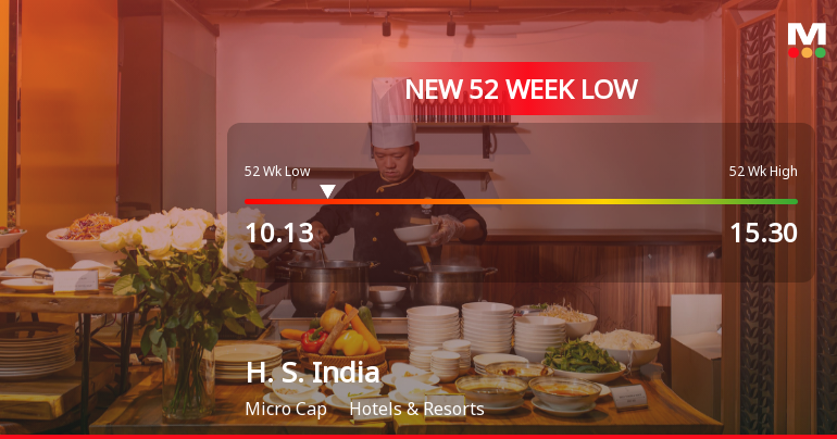 H. S. India Ltd Stock Falls to 52-Week Low of Rs.10.13