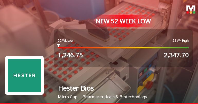Markets Rally, But Hester Biosciences Ltd Sinks to 52-Week Low in Stock-Specific Sell-Off
