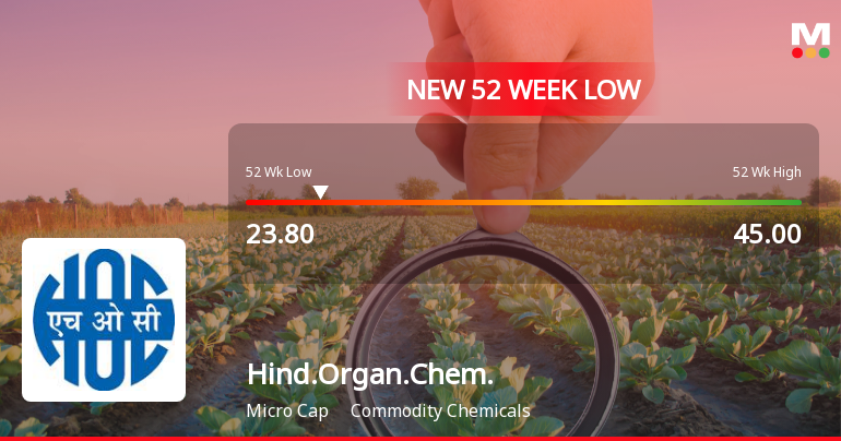 Markets Rally, But Hindustan Organic Chemicals Ltd Sinks to 52-Week Low in Stock-Specific Sell-Off