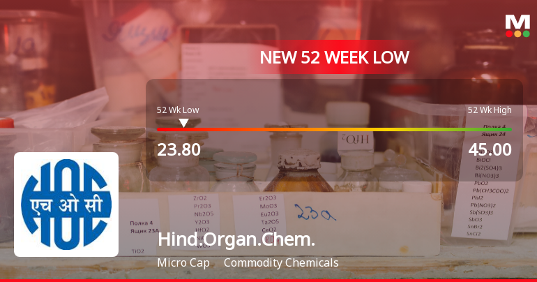 Five Consecutive Losses Push Hindustan Organic Chemicals Ltd to a New 52-Week Low