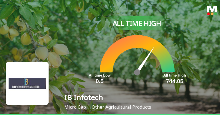 IB Infotech Enterprises Ltd Stock Hits Record High of Rs.744.05