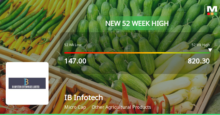 IB Infotech Enterprises Ltd Hits New 52-Week High at Rs.820.3