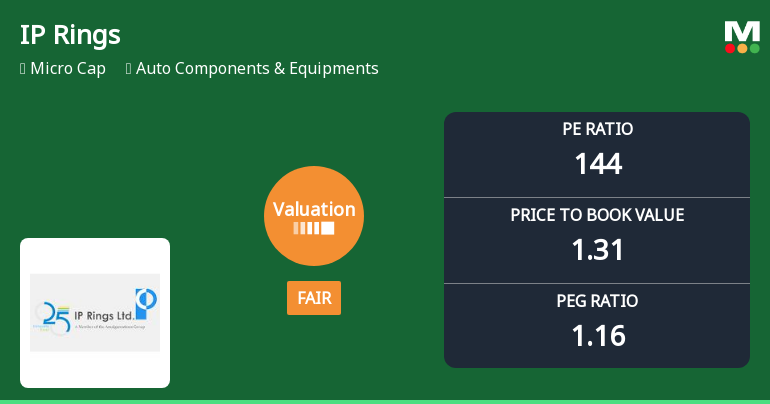 IP Rings Ltd Valuation Shifts to Fair Amidst Elevated Price Multiples