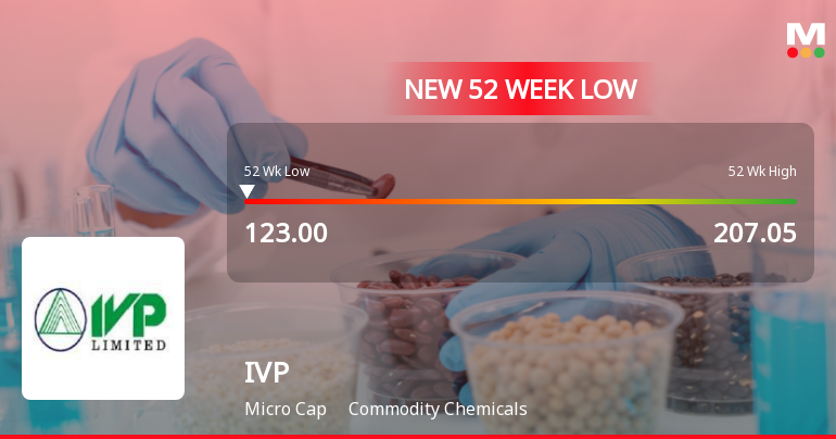 Markets Rally, But IVP Ltd Sinks to 52-Week Low in Stock-Specific Sell-Off