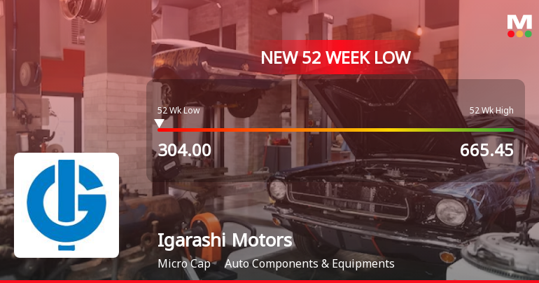 Igarashi Motors India Ltd Stock Hits 52-Week Low Amidst Continued Downtrend