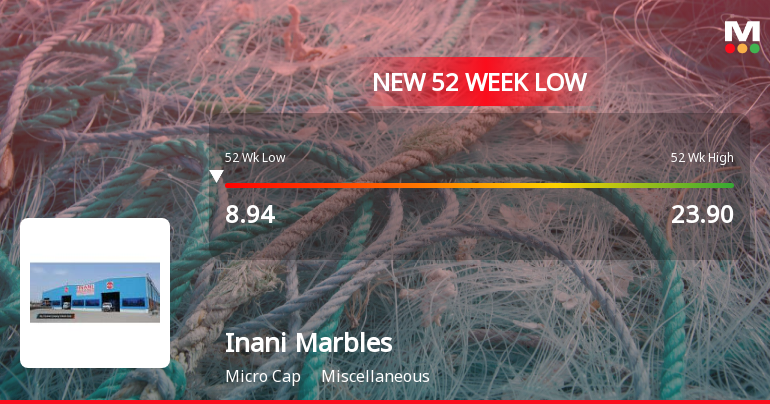 Markets Rally, But Inani Marbles & Industries Ltd Sinks to 52-Week Low in Stock-Specific Sell-Off