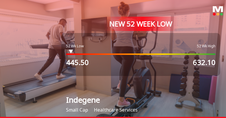 Indegene Ltd Stock Falls to 52-Week Low of Rs 445.5