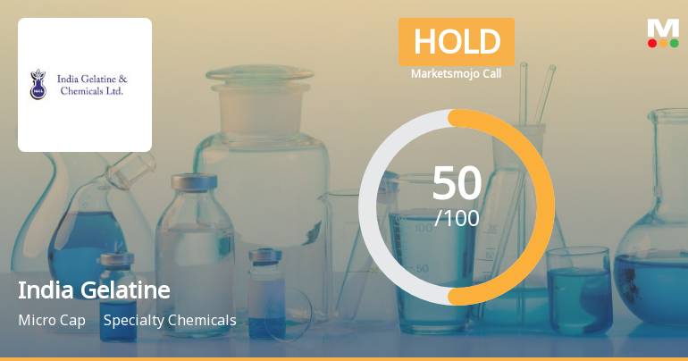 India Gelatine & Chemicals Ltd is Rated Hold