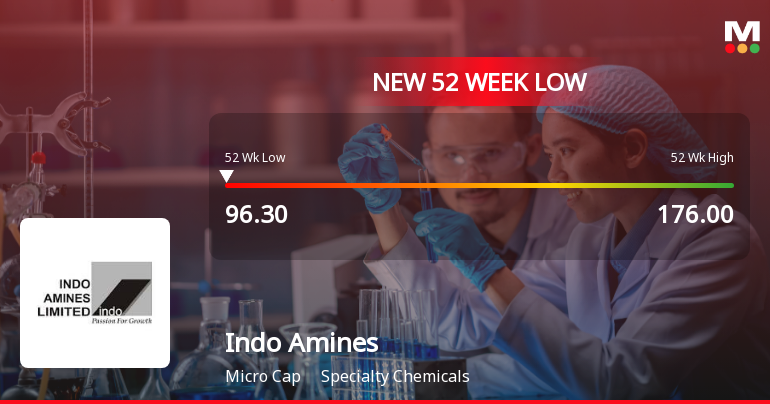 Indo Amines Ltd Stock Falls to 52-Week Low of Rs.96.3