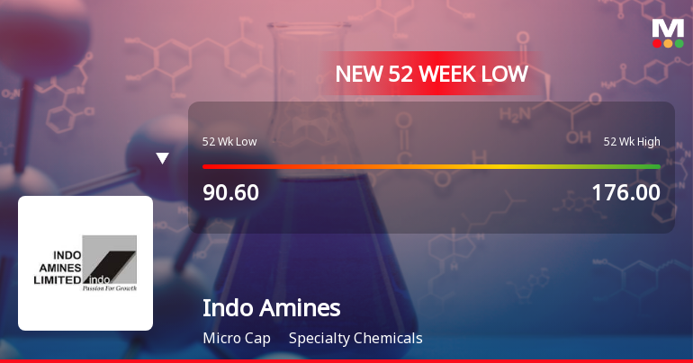Five Consecutive Losses Push Indo Amines Ltd to a New 52-Week Low