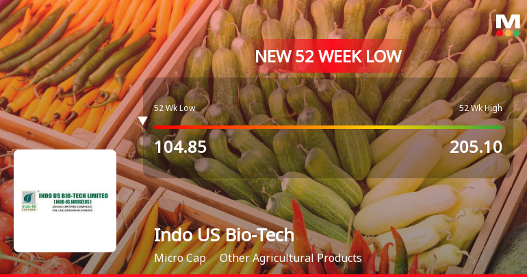 Indo US Bio-Tech Ltd Falls to 52-Week Low Amid Continued Downtrend