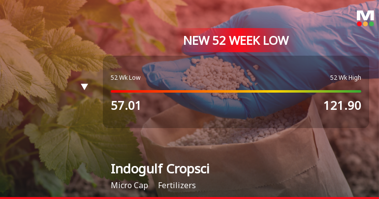 Markets Rally, But Indogulf Cropsciences Ltd Sinks to 52-Week Low in Stock-Specific Sell-Off