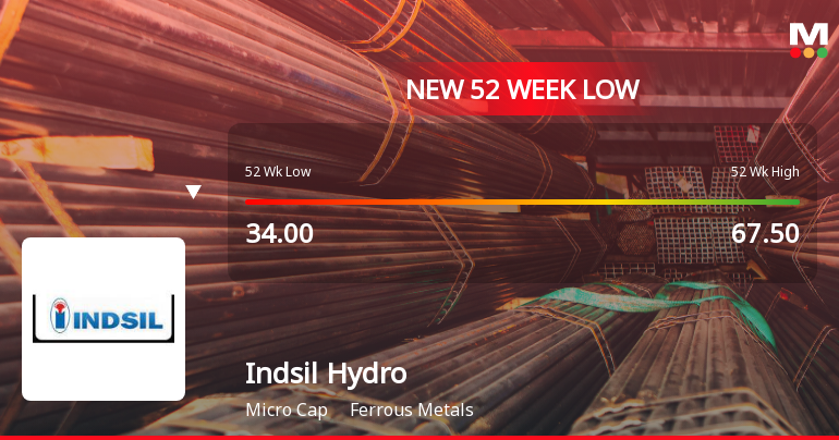Markets Rally, But Indsil Hydro Power & Manganese Ltd Sinks to 52-Week Low in Stock-Specific Sell-Off