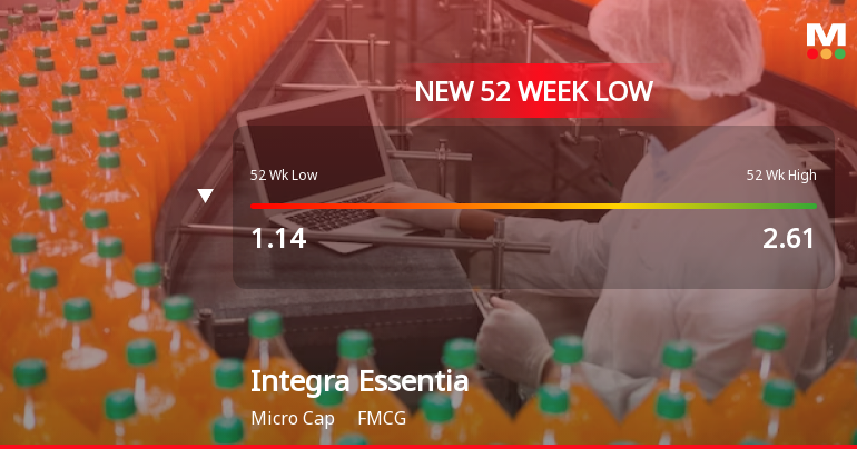 Integra Essentia Ltd Falls to 52-Week Low of Rs 1.01 as Sell-Off Deepens