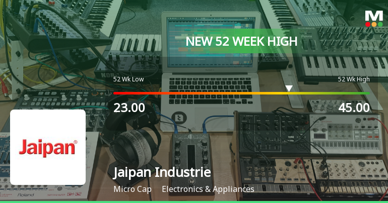 Jaipan Industries Ltd Hits New 52-Week High of Rs.45