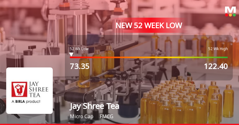 Jay Shree Tea & Industries Ltd Falls to 52-Week Low of Rs.73.7