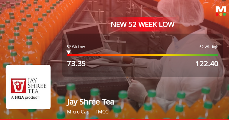 Jay Shree Tea & Industries Ltd Falls to 52-Week Low of Rs 73.05 as Sell-Off Deepens