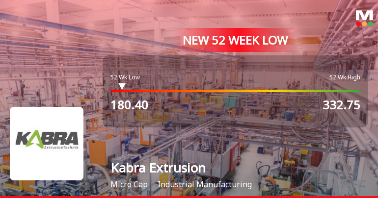 Kabra Extrusion Technik Ltd Falls to 52-Week Low of Rs 171 as Sell-Off Deepens