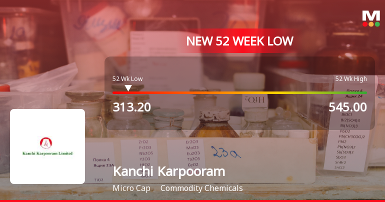 Kanchi Karpooram Ltd Stock Hits 52-Week Low at Rs.313.2 Amidst Continued Downtrend