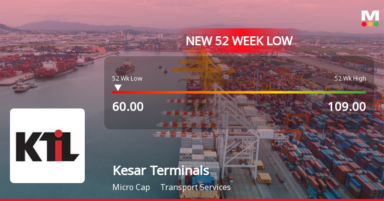 Kesar Terminals & Infrastructure Ltd Falls to 52-Week Low of Rs.60