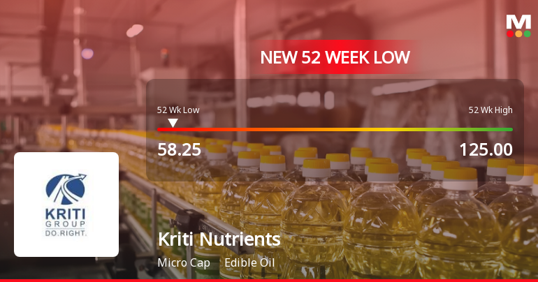 Kriti Nutrients Ltd Stock Falls to 52-Week Low of Rs.58.25