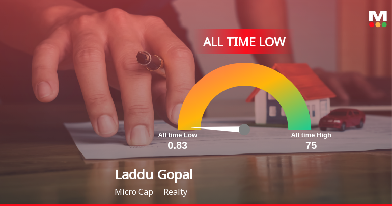 Laddu Gopal Online Services Ltd Extends Losing Streak, Hits All-Time Low at Rs 0.83