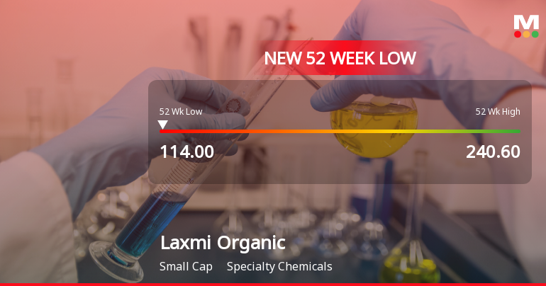 Laxmi Organic Industries Ltd Stock Falls to 52-Week Low of Rs.114.95