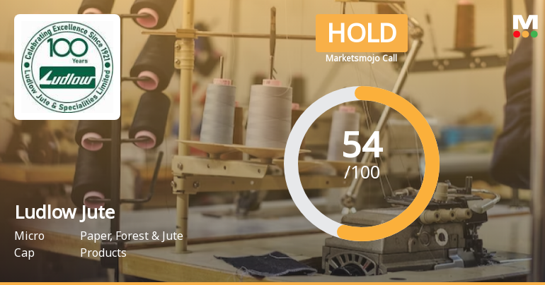 Ludlow Jute & Specialities Ltd is Rated Hold