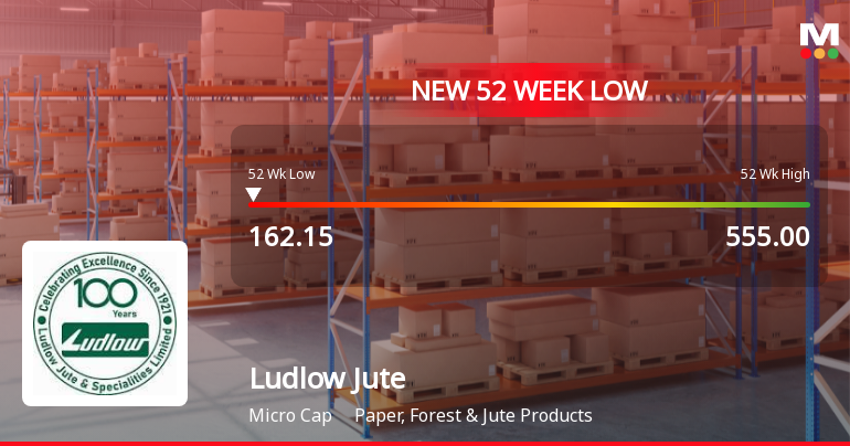 Ludlow Jute & Specialities Ltd Falls to 52-Week Low of Rs 162 as Sell-Off Deepens