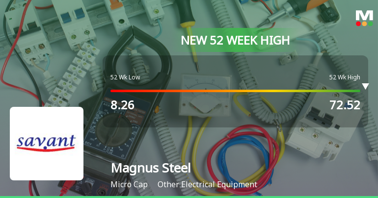 Broad-Based Technical Strength Lifts Magnus Steel & Infra Ltd to 52-Week High of Rs 73.64