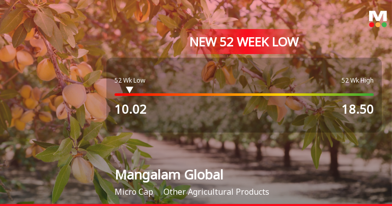 Mangalam Global Enterprise Ltd Falls to 52-Week Low of Rs.10.02