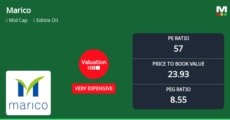 Marico Ltd: Valuation Shifts Signal Heightened Price Premium Amid Strong Returns