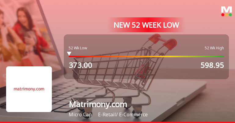 Matrimony.com Ltd Stock Falls to 52-Week Low of Rs.374.35
