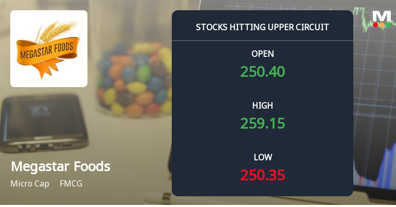 Megastar Foods Ltd Locks at Upper Circuit With 5% Gain — Buyers Queue, Sellers Absent