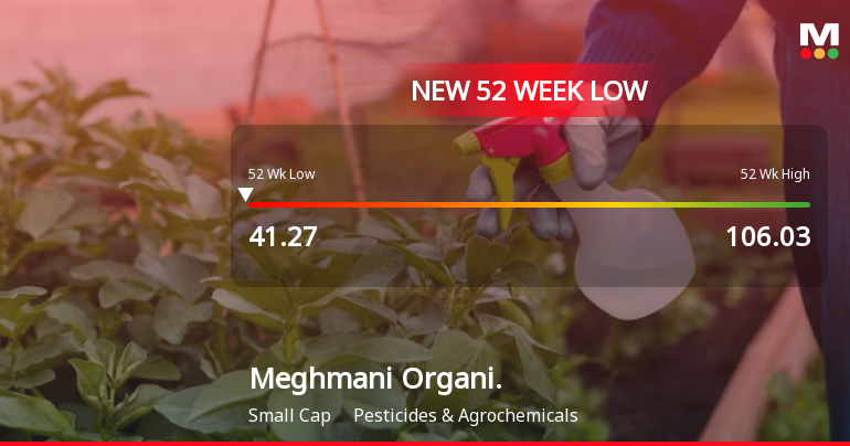 Markets Rally, But Meghmani Organics Ltd Sinks to 52-Week Low in Stock-Specific Sell-Off