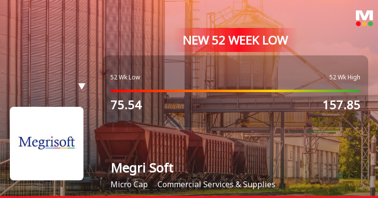 Markets Rally, But Megri Soft Ltd Sinks to 52-Week Low in Stock-Specific Sell-Off