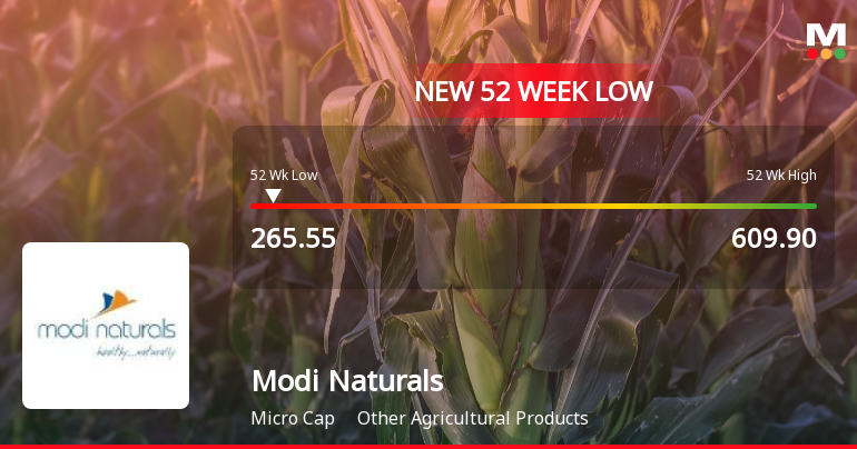Modi Naturals Ltd Falls to 52-Week Low Amidst Continued Market Pressure