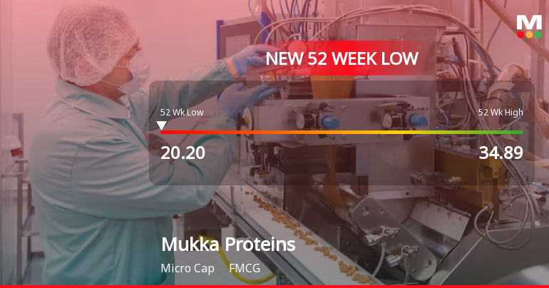Mukka Proteins Ltd Falls to 52-Week Low of Rs 20 as Sell-Off Deepens